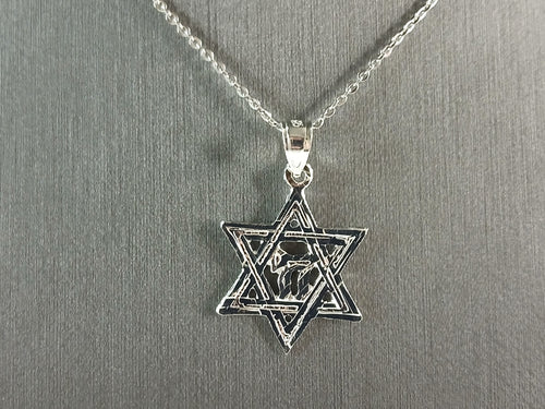 Sterling Silver Jewish Judaica Star of David Chai Pendant Necklace, 2.5g E6896